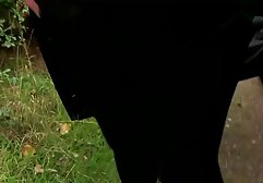 Bimbo سوپر سیکسی خارجی Milf Michelle Sucking Big Cock HD